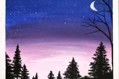 Night Sky 2019-12-08