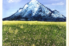 Mountain and Flowers 2019-12-21